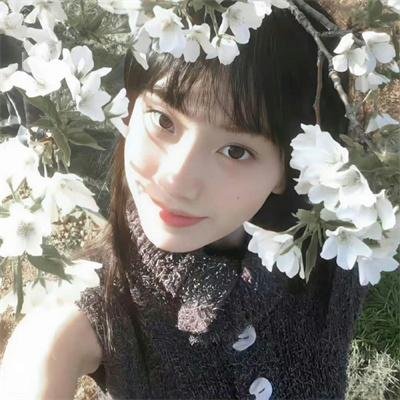碧姬达蕙花